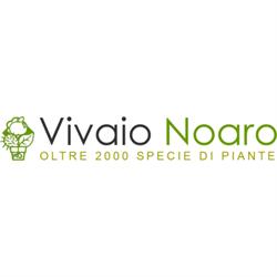 Vivaio Noaro, Camporosso orari di apertura