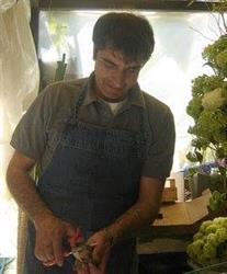 Nocchi Antonio ., Roma orari di apertura