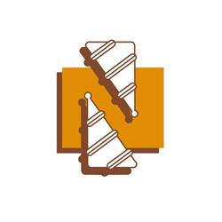 Nocciolcono SRL, Roma orari di apertura
