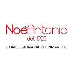Noè Antonio srl - Concessionario Wottan Motor - TVS MOTOR, Scafati orari di apertura