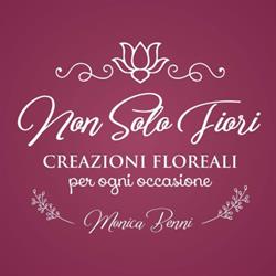 Non Solo Fiori, Pianoro orari di apertura