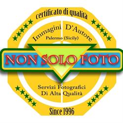 Non Solo Foto Di Arrigo Vincenzo, Palermo orari di apertura