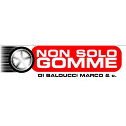 Non Solo Gomme, Marcallo con Casone orari di apertura