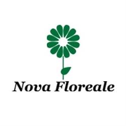 Nova Floreale Di Nadia Lagetti S.a.s., Perugia orari di apertura