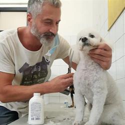 Nuova Arca Di Noe' Di Dabizzi Dario, Prato orari di apertura