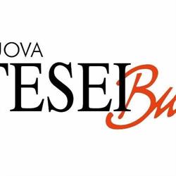 Nuova Tesei Bus SRL, Aprilia orari di apertura