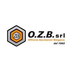 O.Z.B., Lallio orari di apertura