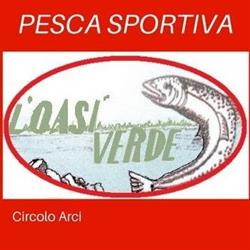 Oasi Verde, Leinì orari di apertura