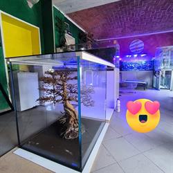 Oceania, Novara orari di apertura