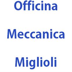 Bosch Car Service - Officina Meccanica Miglioli Snc, Polesine Zibello orari di apertura