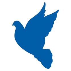 OFISA S.P.A., Firenze orari di apertura