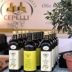 Oleificio Dei Castelli Di Cepelli Benito Sergio & C. (S.n.c.), Vezzano sul Crostolo orari di apertura