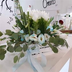 Omero Srl., Terni orari di apertura