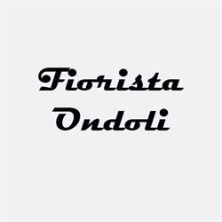 Fiorista Ondoli, Angera orari di apertura