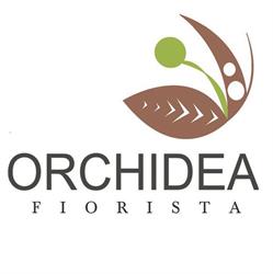 Orchidea Piante Fiori Di Antonella Paternostro Antonella, Avellino orari di apertura