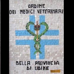 Ordine Dei Veterinari Della Provincia Di Udine, orari di apertura