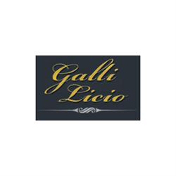 Gioielleria Galli Licio Snc, Pescia orari di apertura
