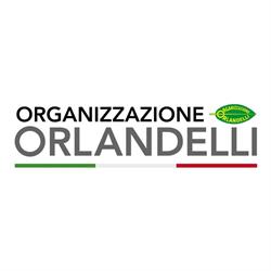ORGANIZZAZIONE ORLANDELLI srl Curtatone, Levata - Orari di apertura
