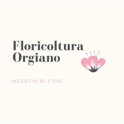Orgiano Salvatore, Ussana orari di apertura