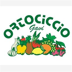 Ortociccio Gavi SRL, orari di apertura