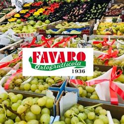 Ortofrutticola Favaro SRL, Mirano orari di apertura