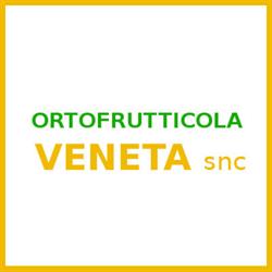 Ortofrutticola Veneta Padova, Camin - Orari di apertura