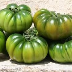 Volfrutta, Volterra orari di apertura