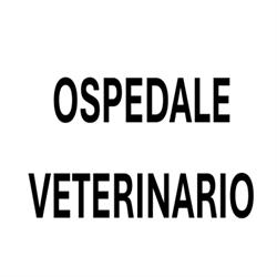 Ospedale Veterinario, Monteforte Irpino orari di apertura
