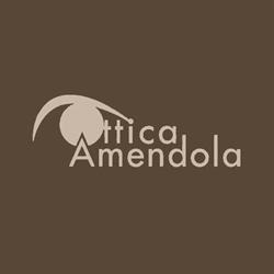 Ottica Amendola - Dott. L. Amendola Optometrista, Pagani orari di apertura