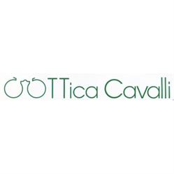 Ottica Cavalli di Carlo Cavalli, Padova orari di apertura