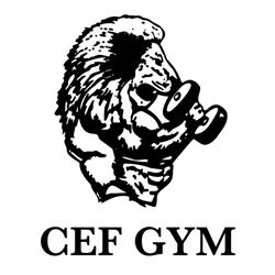 Palestra C.e.f., Pesaro orari di apertura