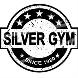 Palestra Silver Gym Di Difino F., Pescara orari di apertura