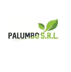 Palumbo Alfonso, Santo Stefano Quisquina orari di apertura