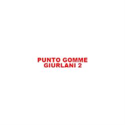 Punto Gomme Giurlani 2, Massa orari di apertura