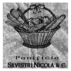Panificio Silvestri, Pisa orari di apertura