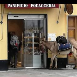 Panificio Vernazza, Varazze orari di apertura