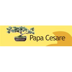 Papa Cesare Servizi di Giardinaggio, Filottrano orari di apertura