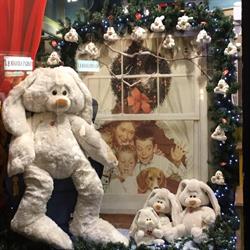 Il Paradiso dei Bambini dei F.lli Pinton Stefano & Valentina Sas, Treviso orari di apertura