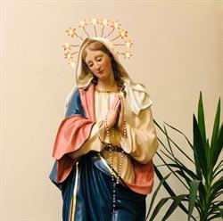 Parrocchia Diegaro Nativita' Di Maria Vergine, Cesena orari di apertura