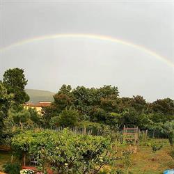 Parrucchiera Sandra, Prato orari di apertura