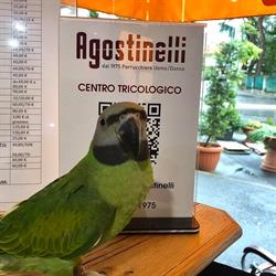Agostinelli, Prato orari di apertura
