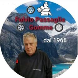Passaglia Fulvio, Viareggio orari di apertura