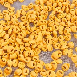 Pasta Fresca Nonna Cesira, Bologna orari di apertura