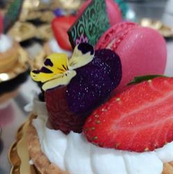 Bar Pasticceria La Perla, Castiglion Fiorentino orari di apertura