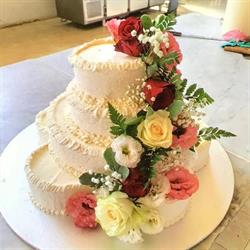 Pasticceria Loli di Loli Massimiliano, Castel San Pietro Terme orari di apertura