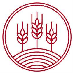 Pastificio Artigiano Molese Di Bianco Antonia, Mola di Bari orari di apertura