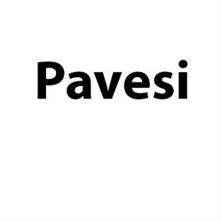 Pavesi - Sugna per prosciutti, Langhirano orari di apertura