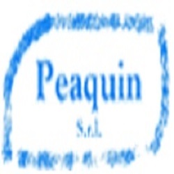 Peaquin Srl Impianti Elettrici, Saint-Vincent orari di apertura
