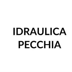 Idraulica Pecchia, Torre del Lago Puccini orari di apertura