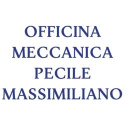 Officina Meccanica Pecile Massimiliano, Martignacco orari di apertura